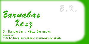 barnabas kesz business card